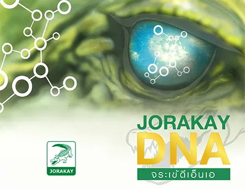 jorakay-DNA