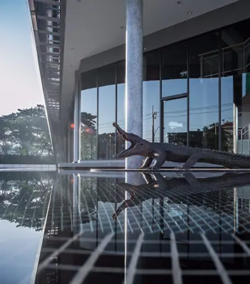 jorakay-about-headoffice