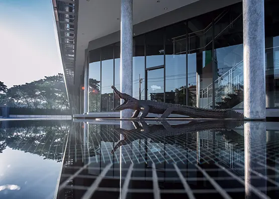 jorakay-about-philosophy