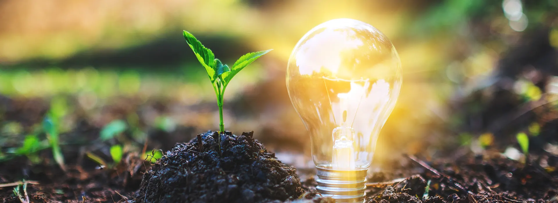 JORAKAY CORPORATION CO.,LTD news-banner